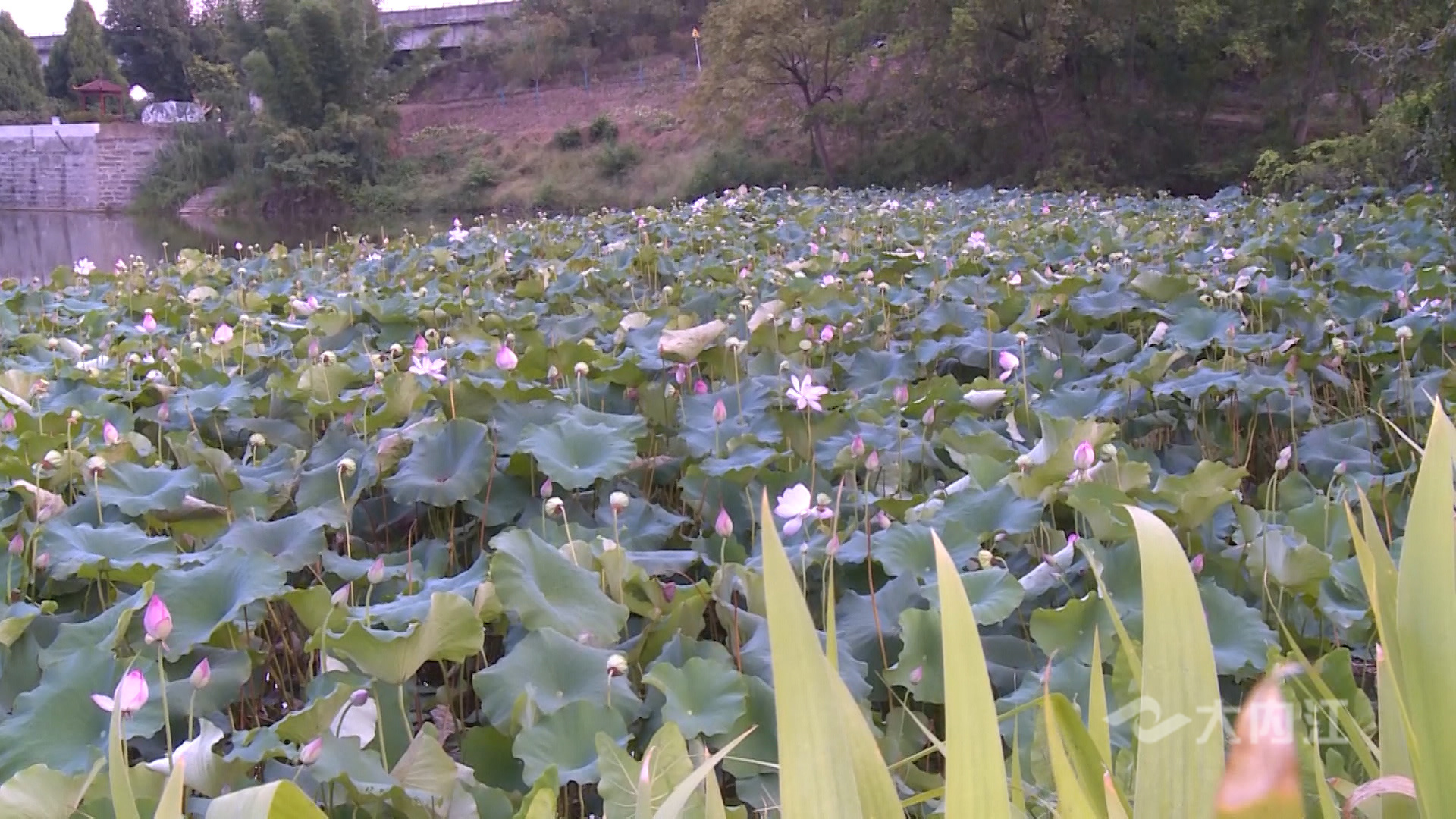 281876_1628496479466406.jpg 微信图片_20210809160618.jpg