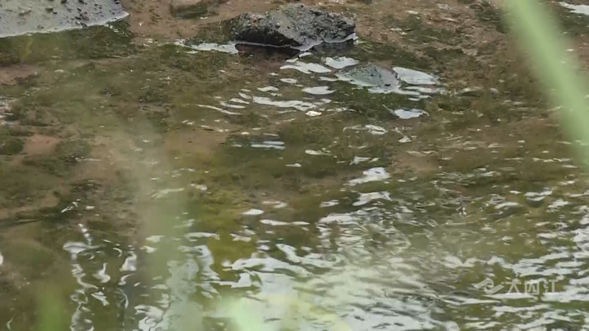 282035_1628237750300090.jpg 微信图片_20210806161353.jpg