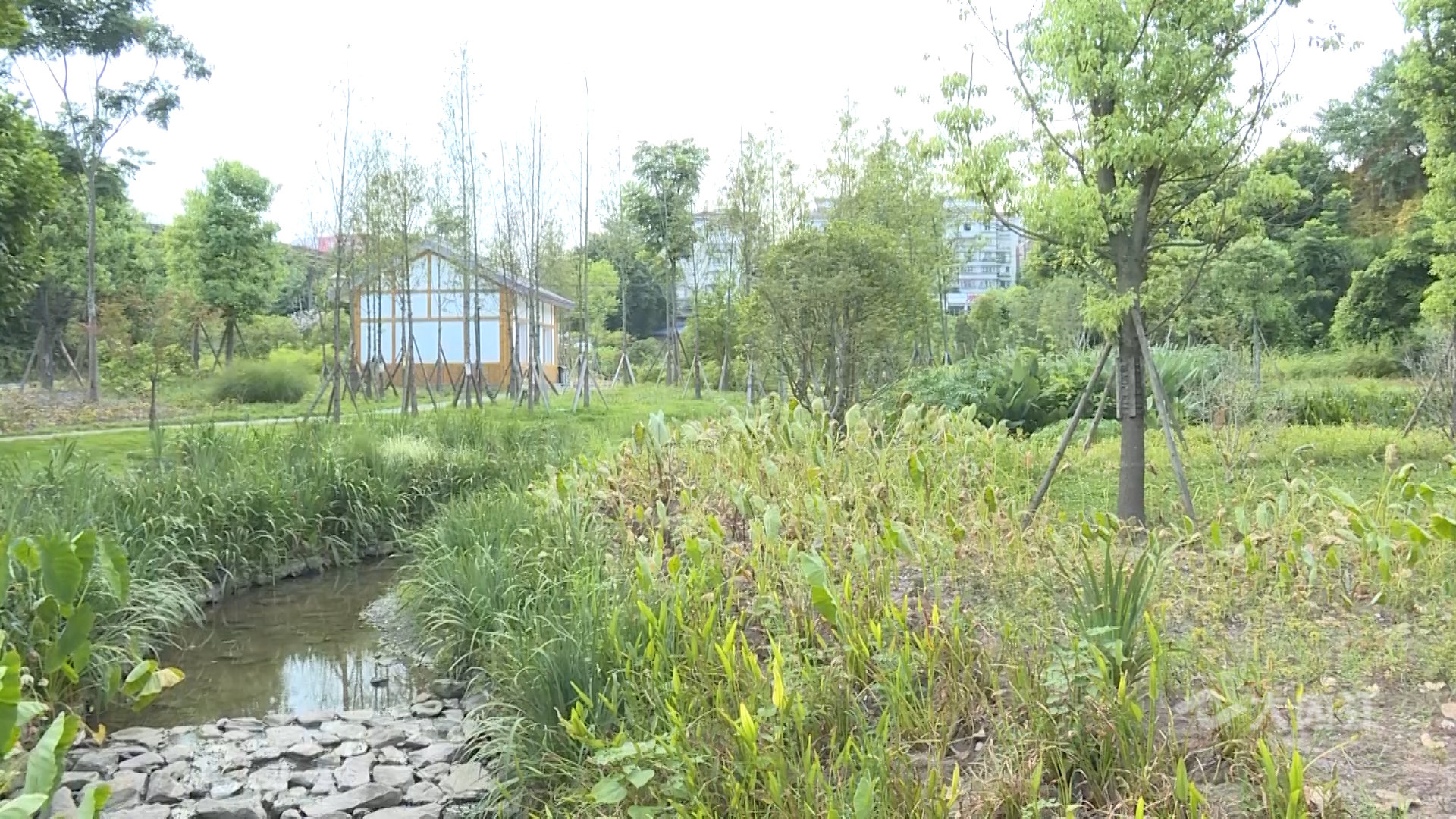 282035_1628237760819643.jpg 微信图片_20210806161344.jpg