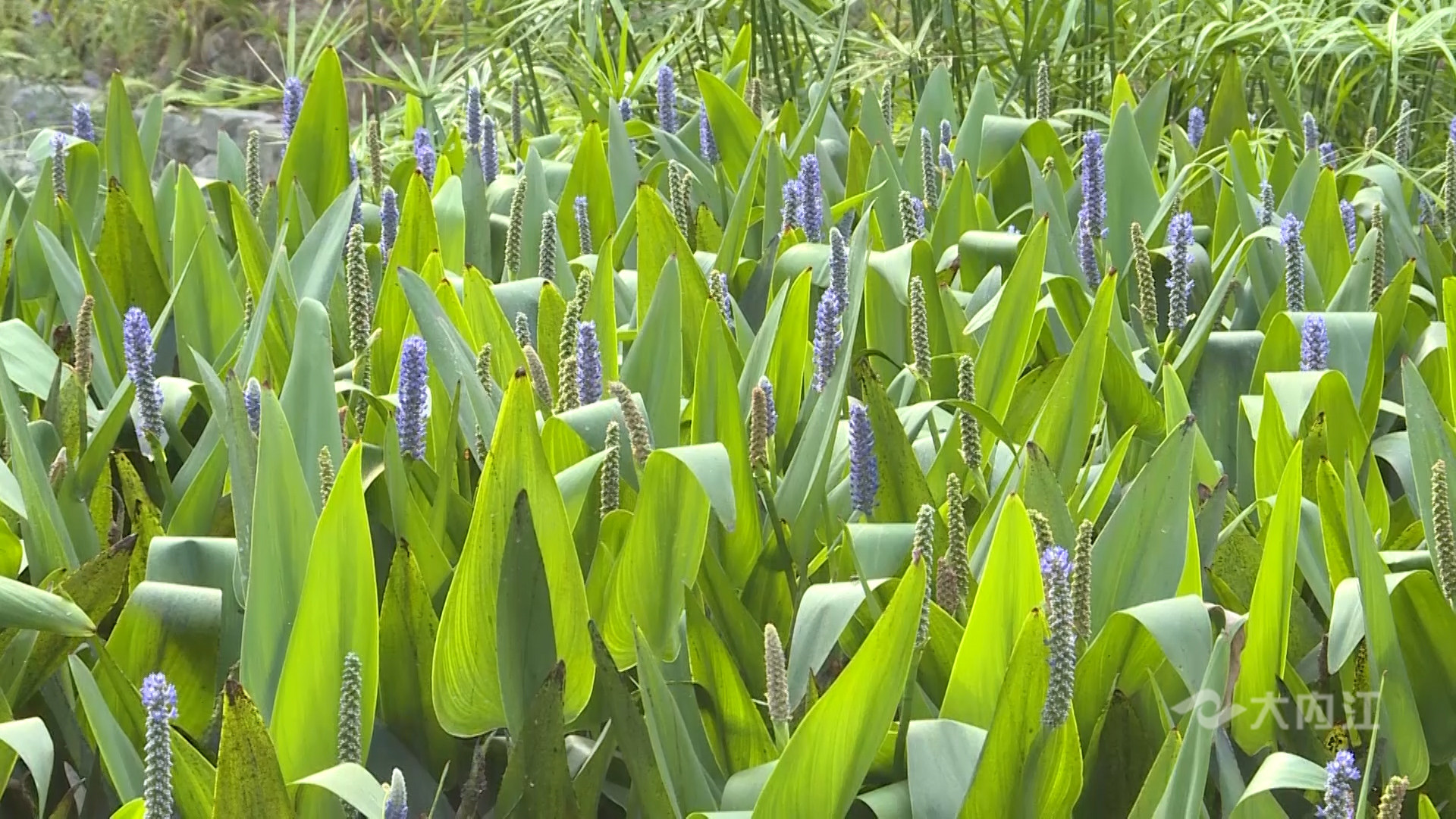 282035_1628237785633478.jpg 微信图片_20210806161349.jpg