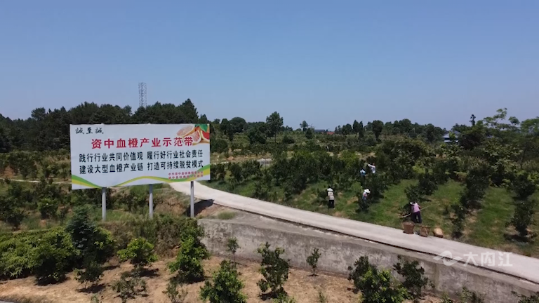 微信图片_20210820153205.png