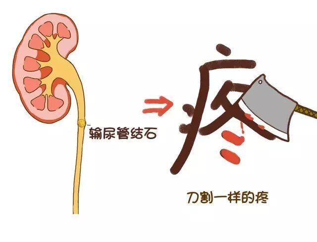图1.jpeg