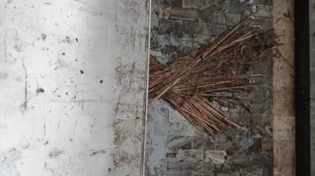 286144_1628499130386032.jpg 微信图片_20210809165143.jpg