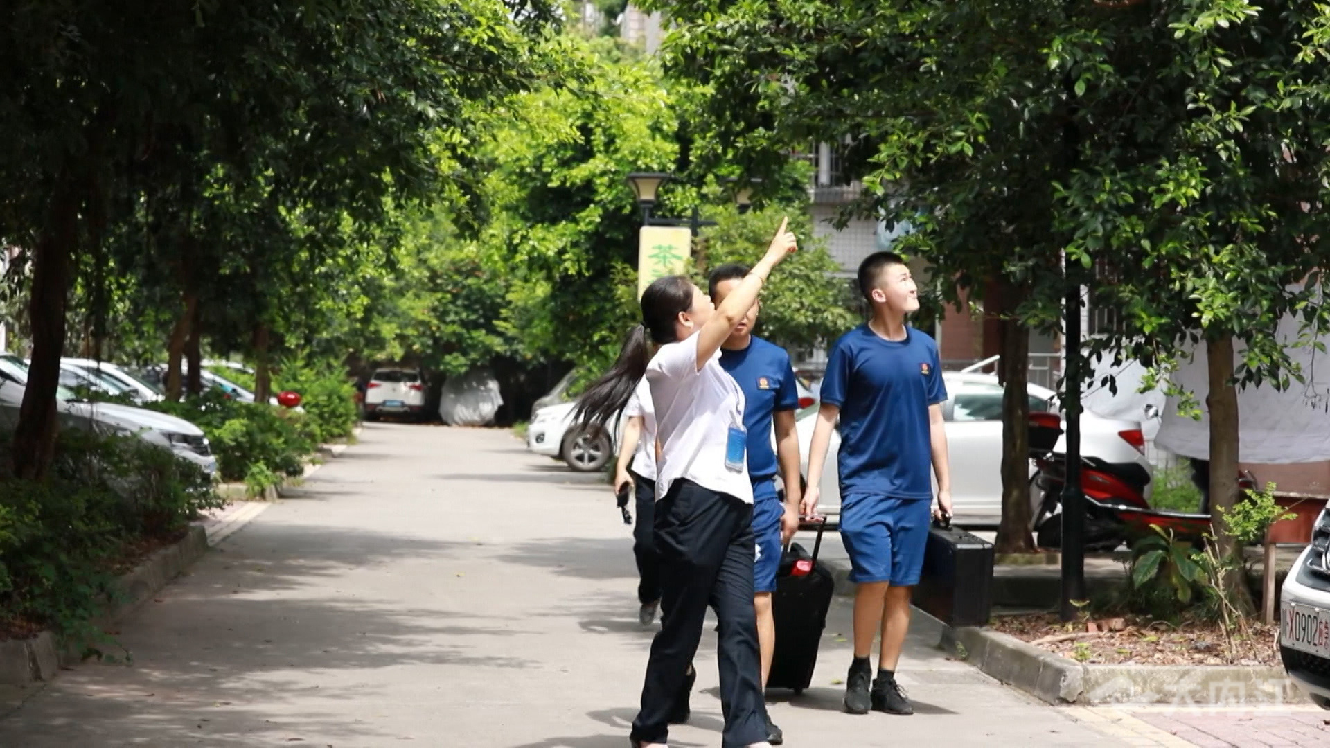 286258_1629536183397604.jpg 11111.jpg