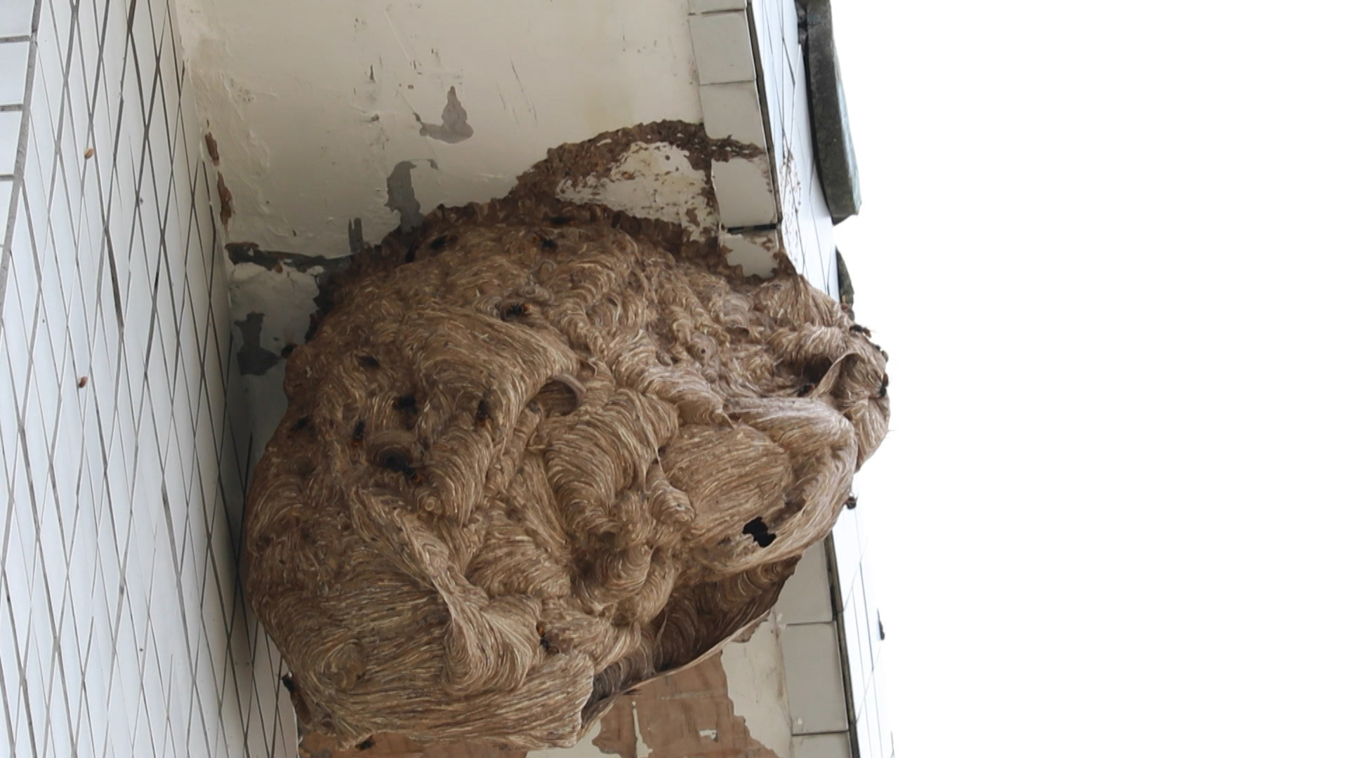 286258_1629536208855359.jpg 22222.jpg