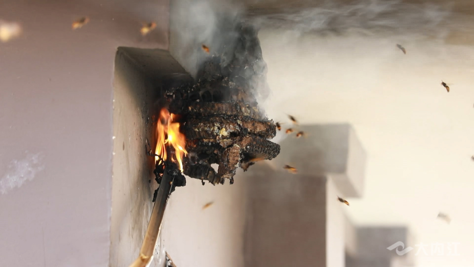 286258_1629536296631951.jpg 44444.jpg