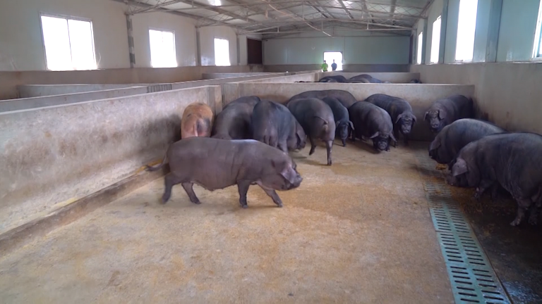 282035_1630640862477720.png 微信图片_20210903114618.png