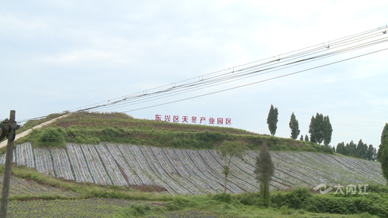 微信图片_20210913104934.png
