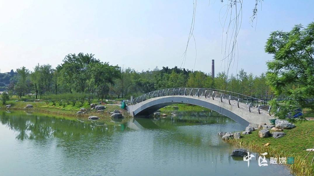 286033_1630639704413047.png 1.png