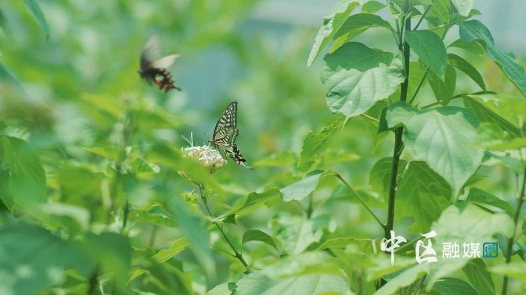 286033_1630639717550009.png 2.png