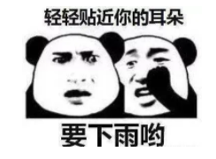 286033_1630653934670030.png 要下雨哟.png