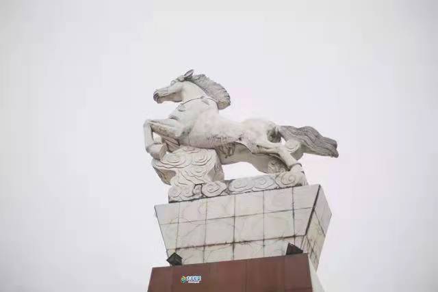 白马.jpg