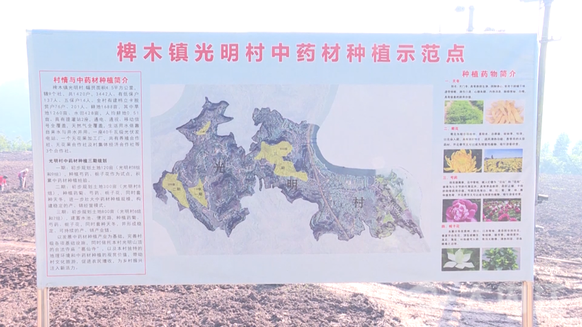 微信图片_20211116151536.png