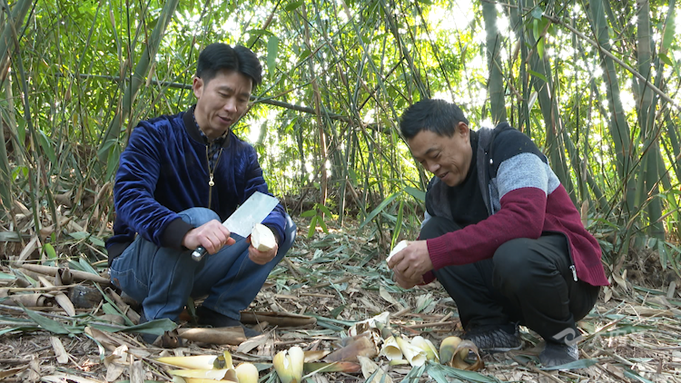 微信图片_20211112105758.png