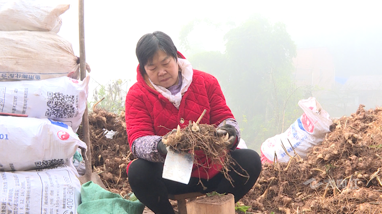 微信图片_20211123151519.png