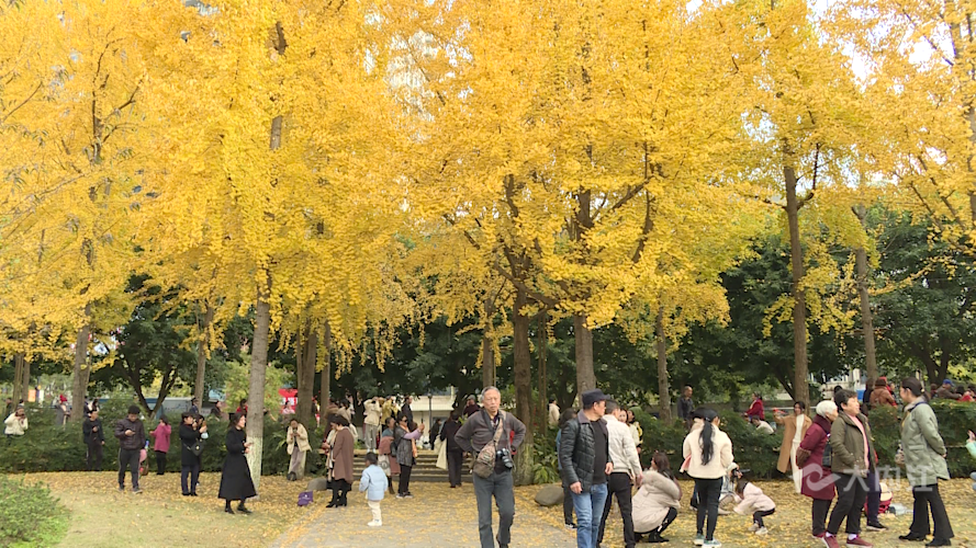 微信图片_20211125103558.png