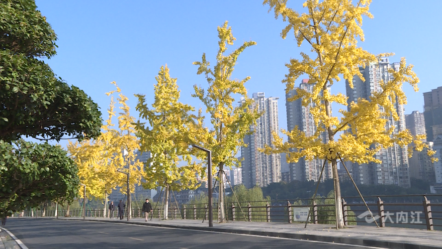 微信图片_20211125103748.png
