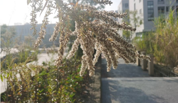 微信截图_20211128102724.png
