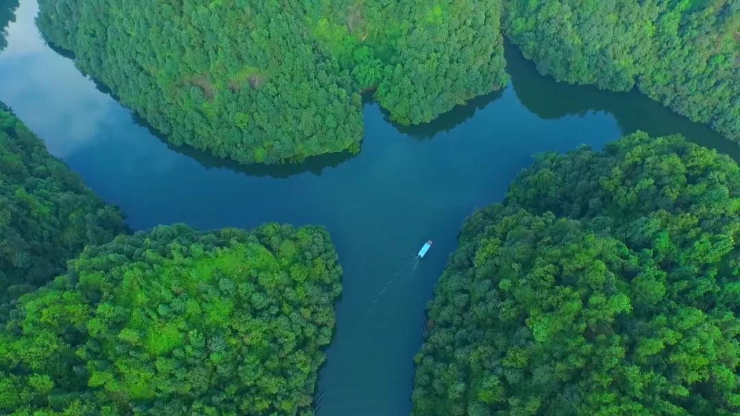 269955_1641735403425217.jpg 微信图片_20220109213539.jpg