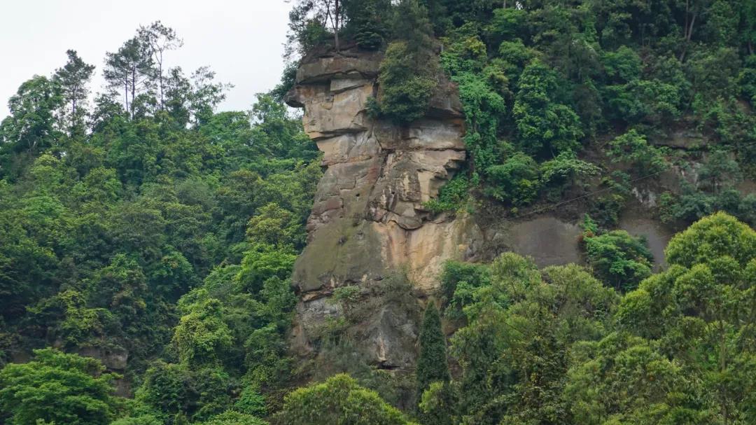 269955_1641735419806587.jpg 微信图片_20220109213544.jpg