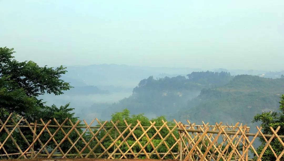 269955_1641735485397079.jpg 微信图片_20220109213611.jpg