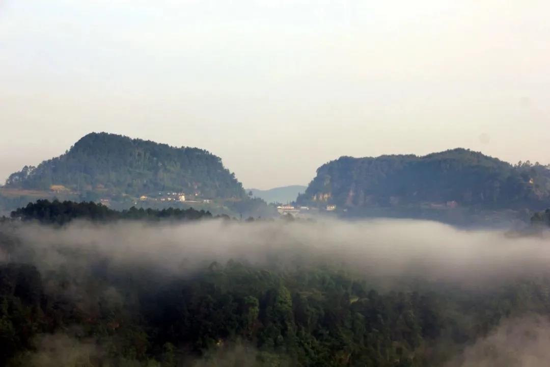 269955_1641735500644608.jpg 微信图片_20220109213614.jpg