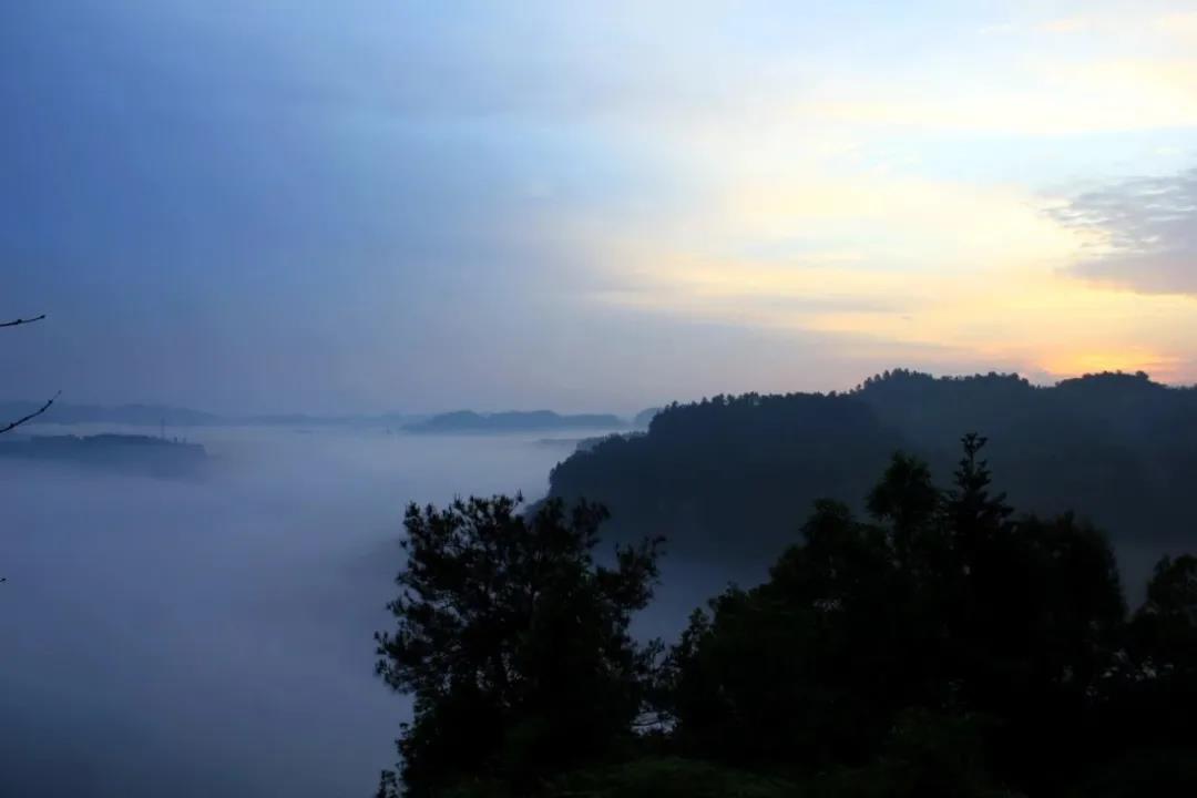 269955_1641735520113371.jpg 微信图片_20220109213620.jpg