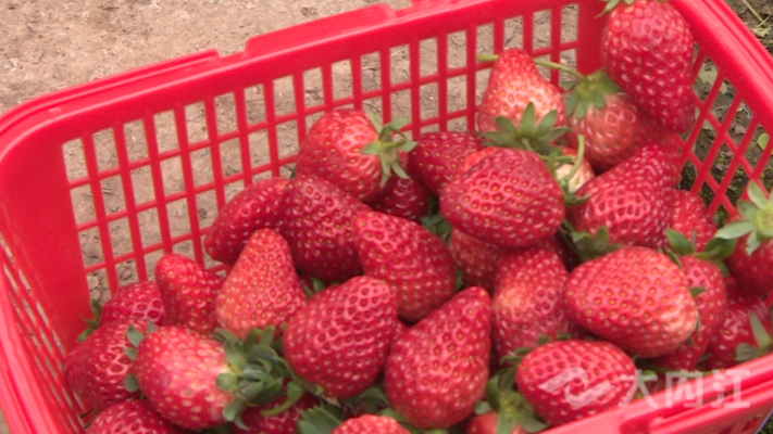 281876_1641871093655245.png 微信图片_20220111111716.png