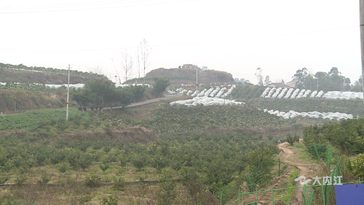 282035_1641793500392810.png 微信图片_20220110134428.png