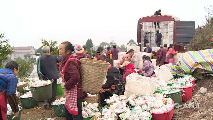 282035_1641793509407049.png 微信图片_20220110134440.png