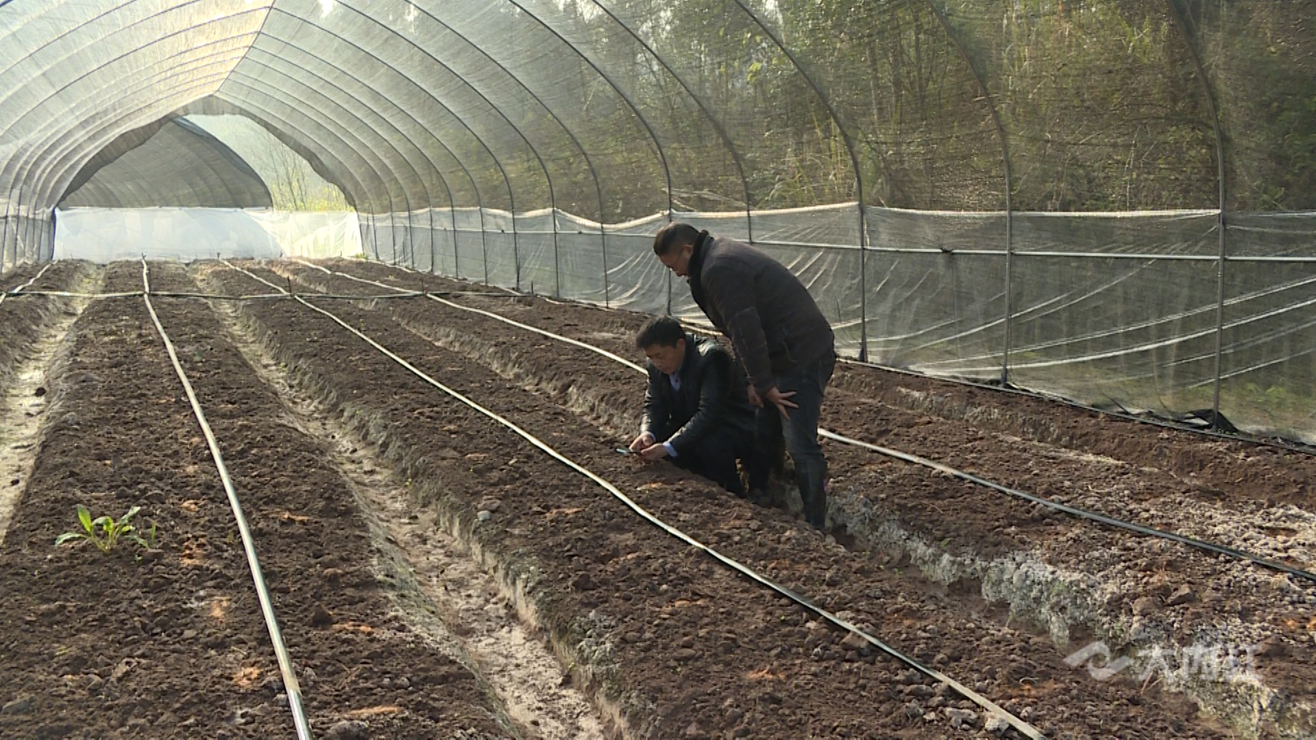 282035_1642750661695874.jpg 微信图片_20220121153312.jpg