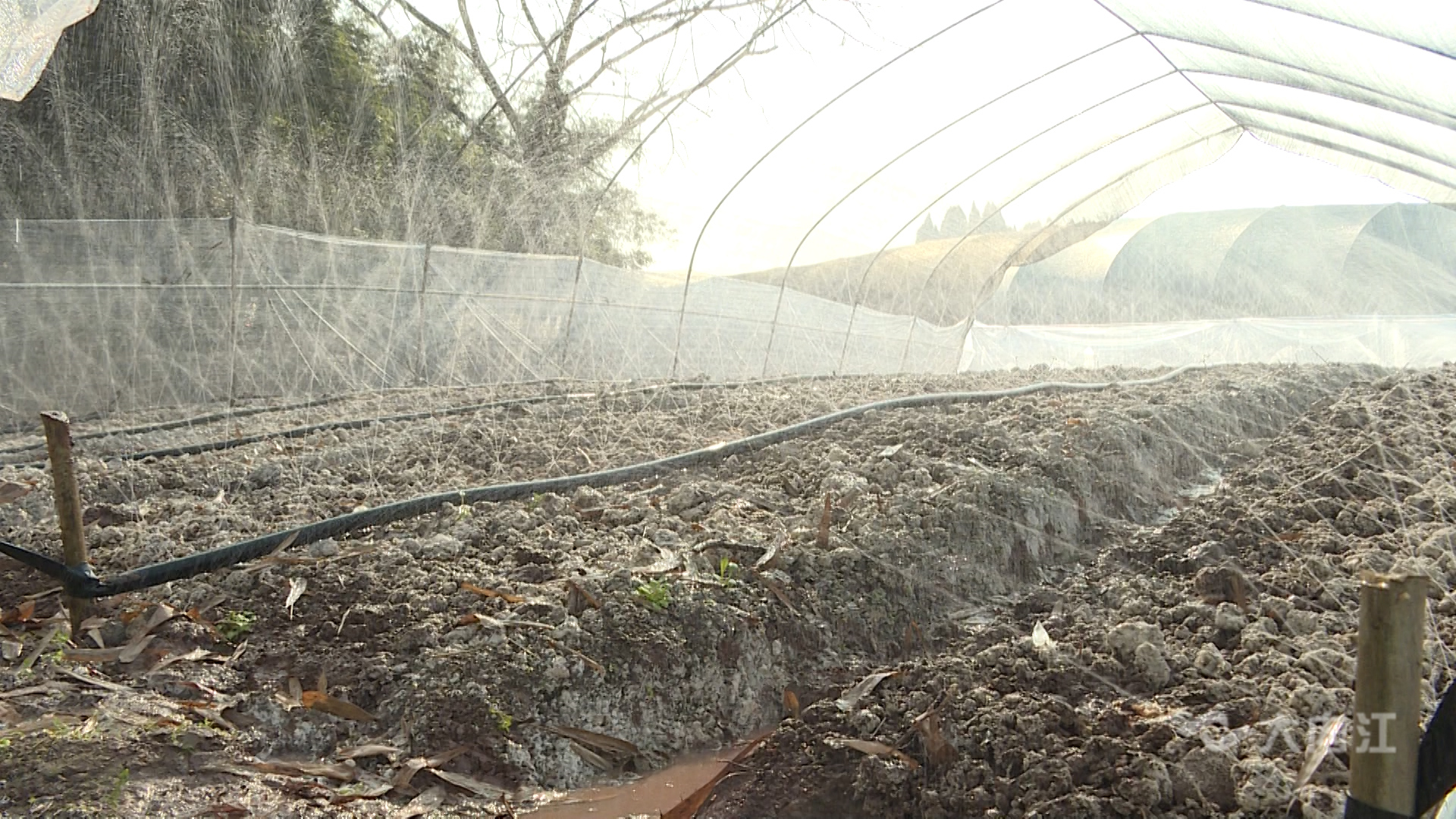 282035_1642750685112985.jpg 微信图片_20220121153318.jpg