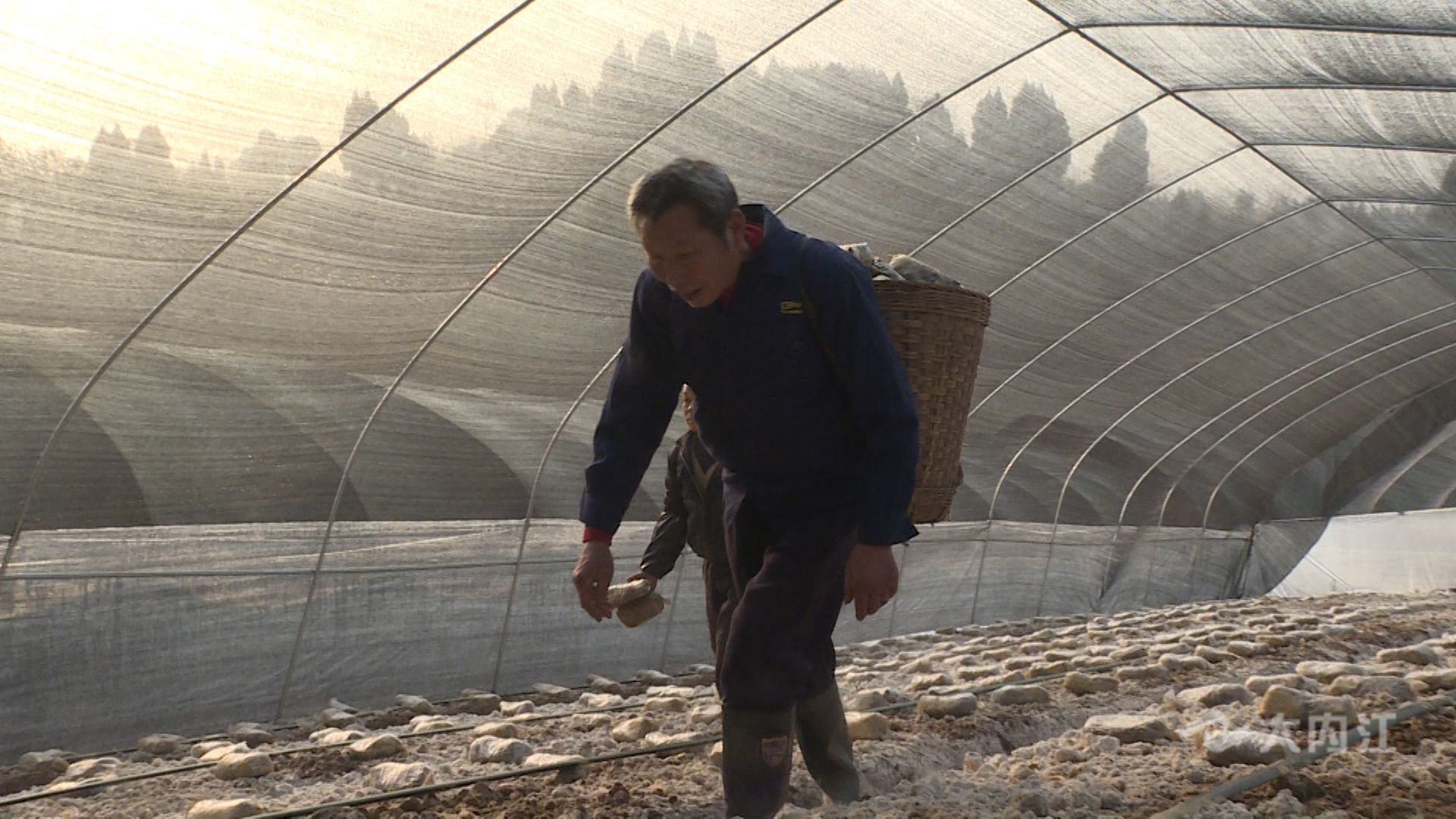 282035_1642750704584859.jpg 微信图片_20220121153327.jpg