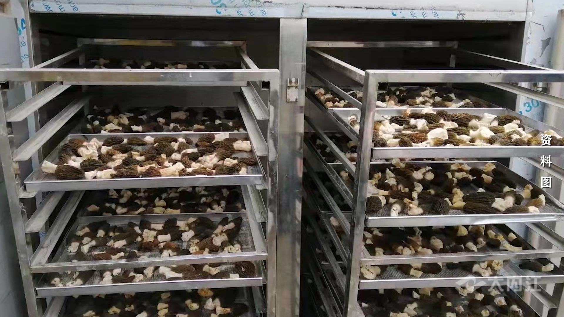 282035_1642750760873722.jpg 微信图片_20220121153344.jpg