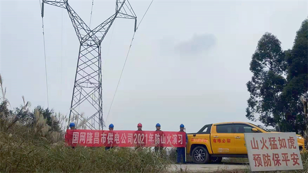 286033_1641552840955352.jpg 电网1.jpg