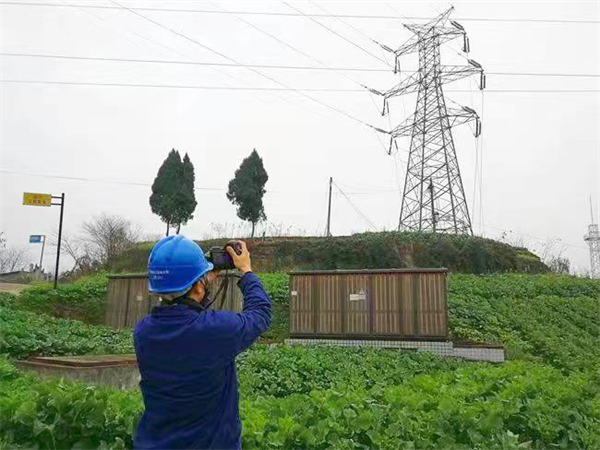 286033_1641552849449463.jpg 电网2.jpg