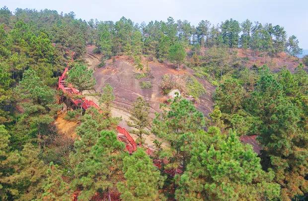 269955_1644223704345333.jpg 微信图片_20220207164756.jpg