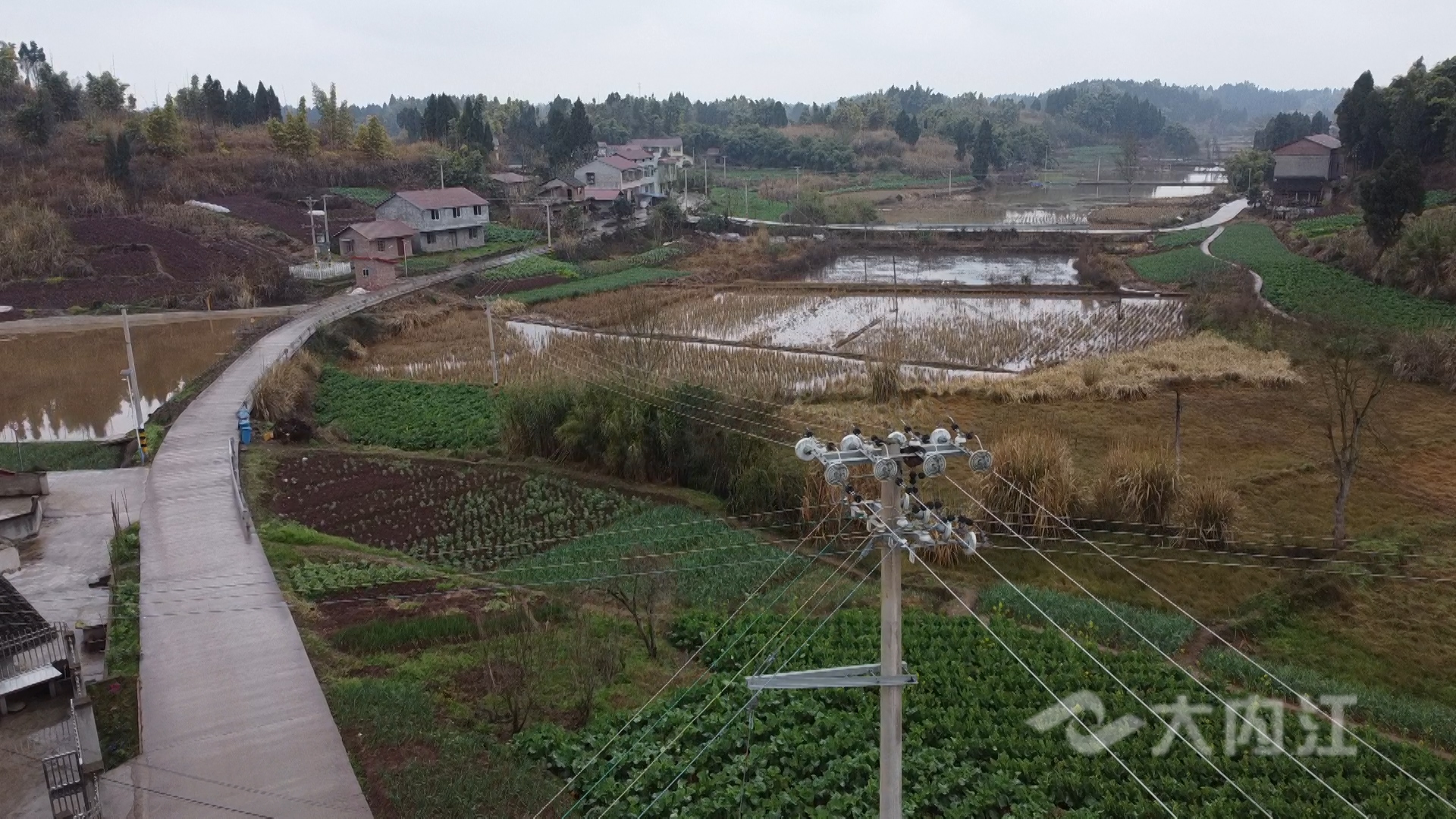 281876_1643771531826429.jpg 新媒体 首席技师彭波.00_00_03_07.静止006.jpg