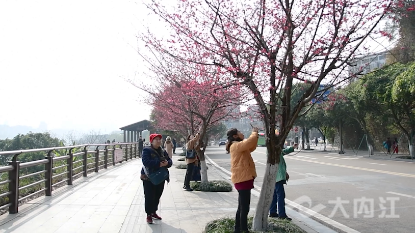 281876_1644823696240720.png 微信图片_20220214152358.png