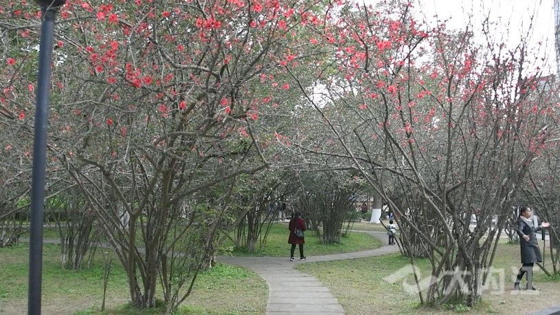 281876_1644823701505466.png 微信图片_20220214152407.png