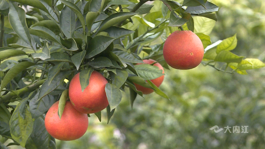 282035_1644570418580206.png 微信图片_20220211170600.png