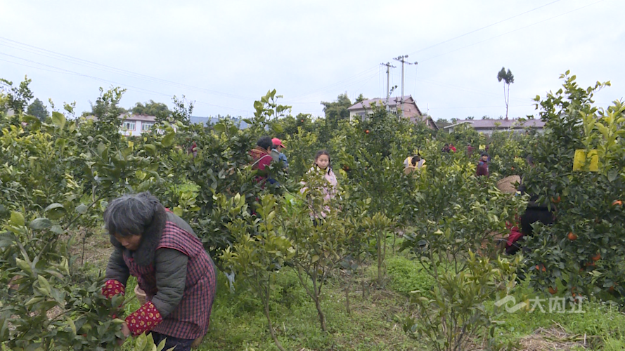 282035_1644570431756206.png 微信图片_20220211170554.png