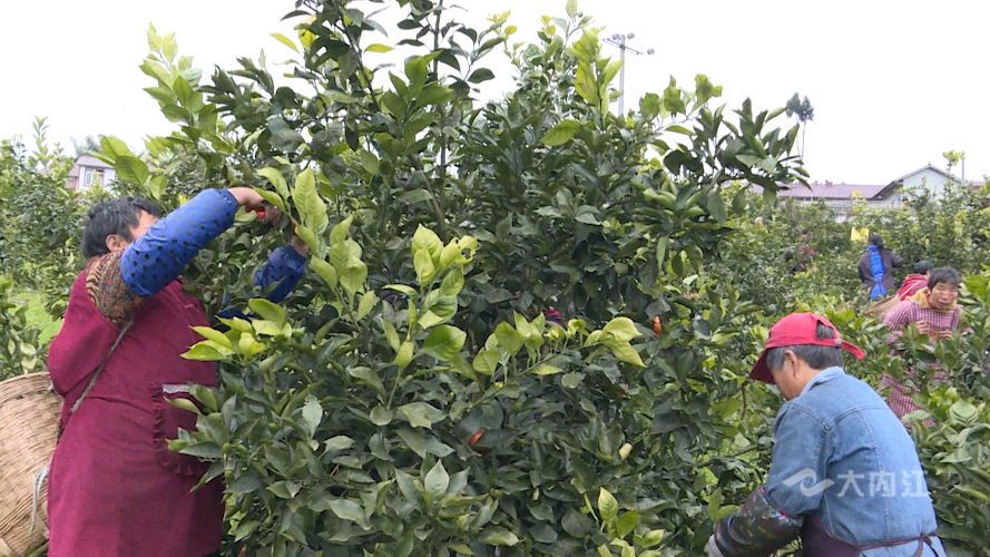 282035_1644570450121045.png 微信图片_20220211170604.png