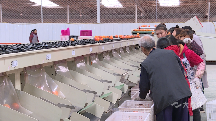 282035_1644570461569510.png 微信图片_20220211170607.png