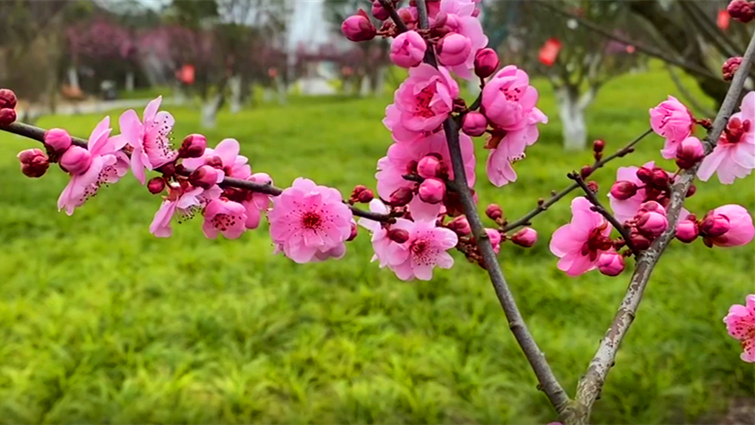 282126_1645520036610687.png 微信截图_20220222164425.png