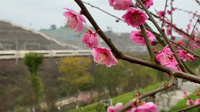 282126_1645520054244326.png 微信截图_20220222164445.png