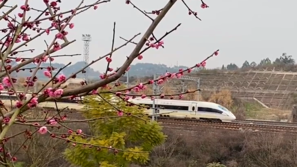 282126_1645520066639838.png 微信截图_20220222164511.png