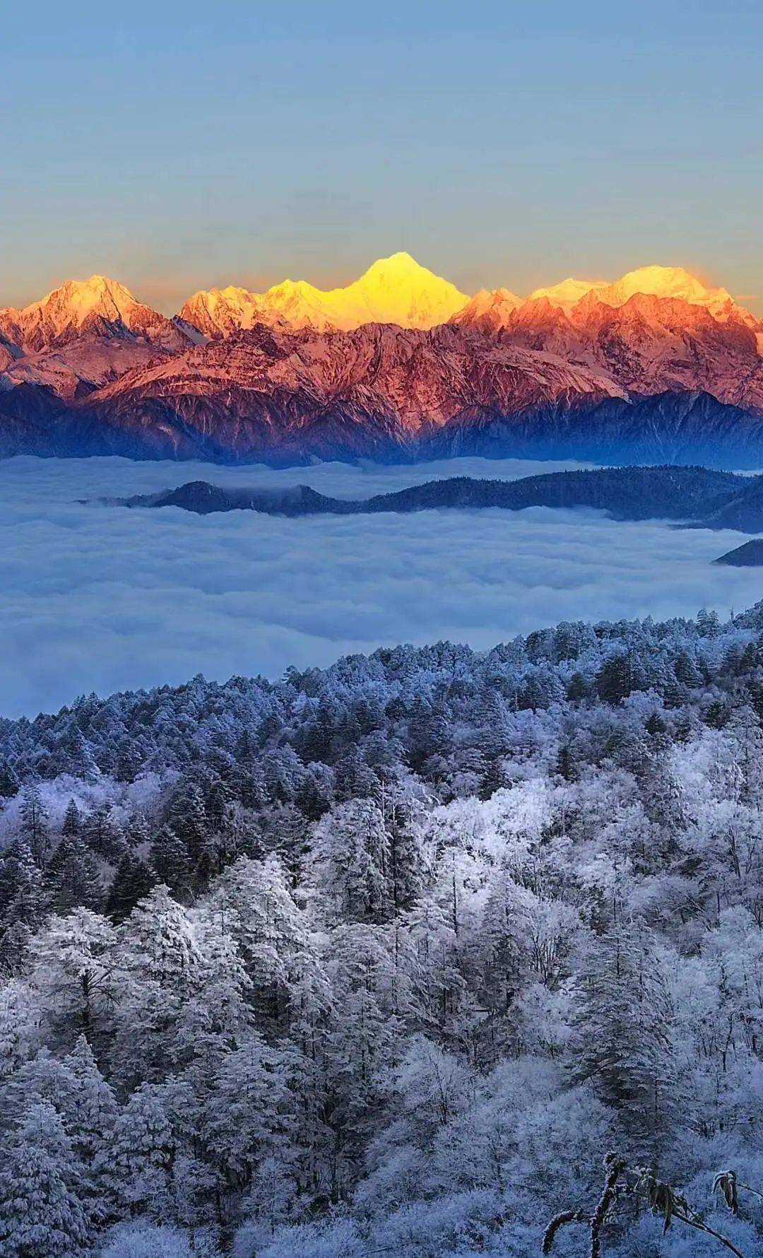 286144_1644894672806478.jpg 6.jpg