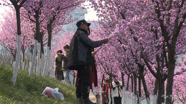 微信图片_20220301103959.png
