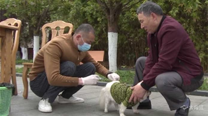 微信图片_202203291611482.png